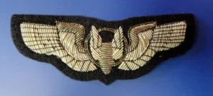 BULLION GUNNER WINGS